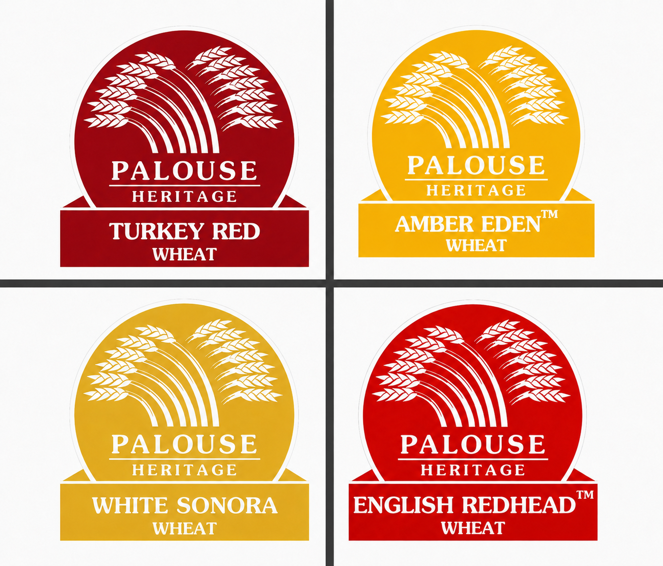 Variety Quad With Eden.png