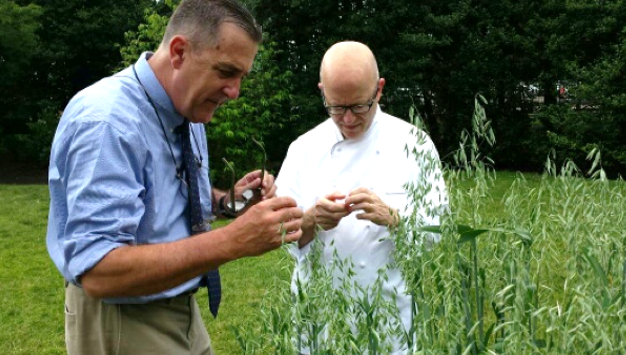 Steve Jones and Dan Barber inspecting White House Lincoln Oats Hannalore Suderman photo