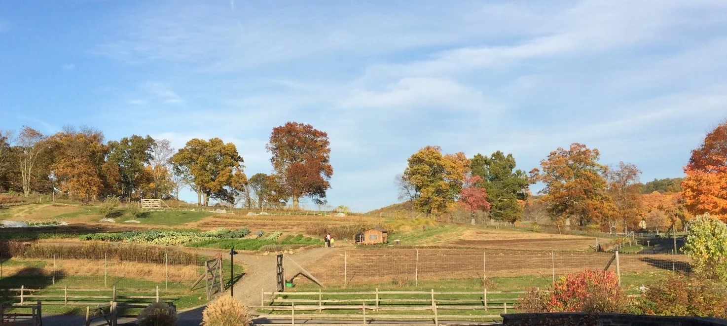 ROCKEFELLER STONE BARNS CENTER VEGETABLE AND GRAIN FIELDS Pontico Hills, New York