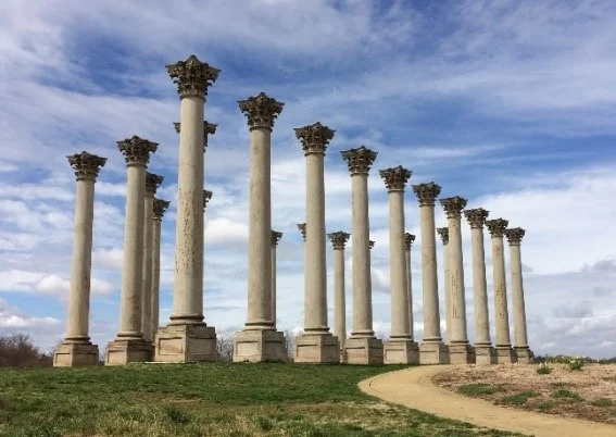 Original Capitol Corinthian Columns (1826), National Arboretum