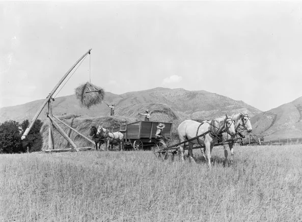 George W. Ackerman, Unloading Wheat (1925) and Harvesting Wheat in Kansas (c. 1925); Agricultural Extension Service Photograph Collection, National Archives and Records Center