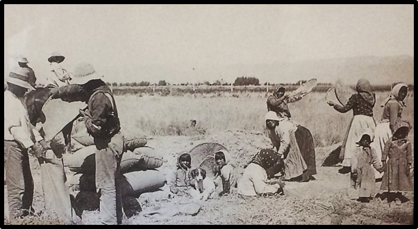 Mission San Gabriel Harvesters (c. 1895)