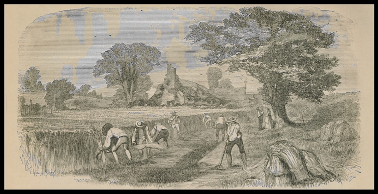 Reaping in the Olden Time; Above: Reaping in Our Time (1857)