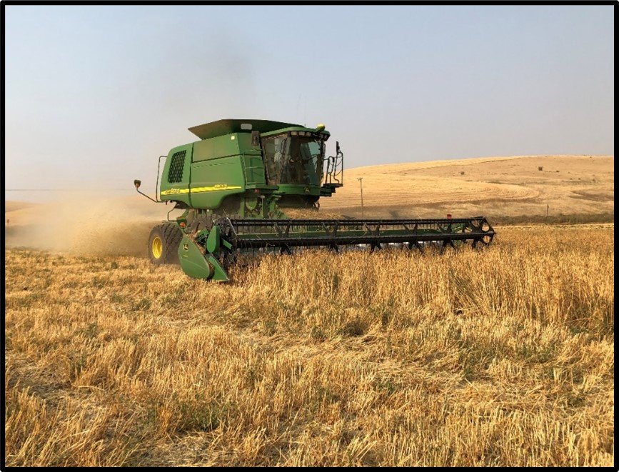 Heritage Grain Harvest 