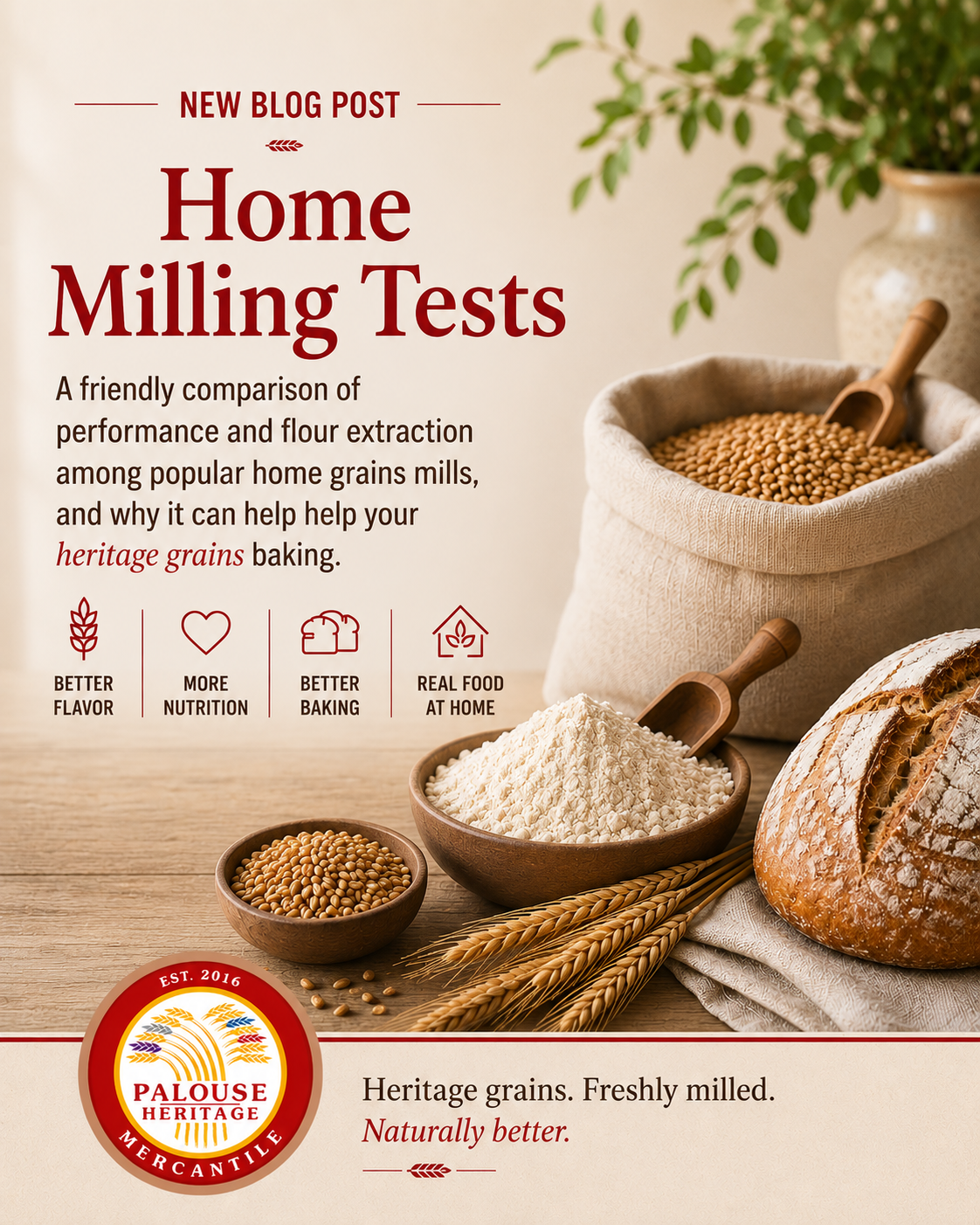 Home Grain Mill Performance &amp; Flour Extraction: A Practical Comparison for Home Bakers