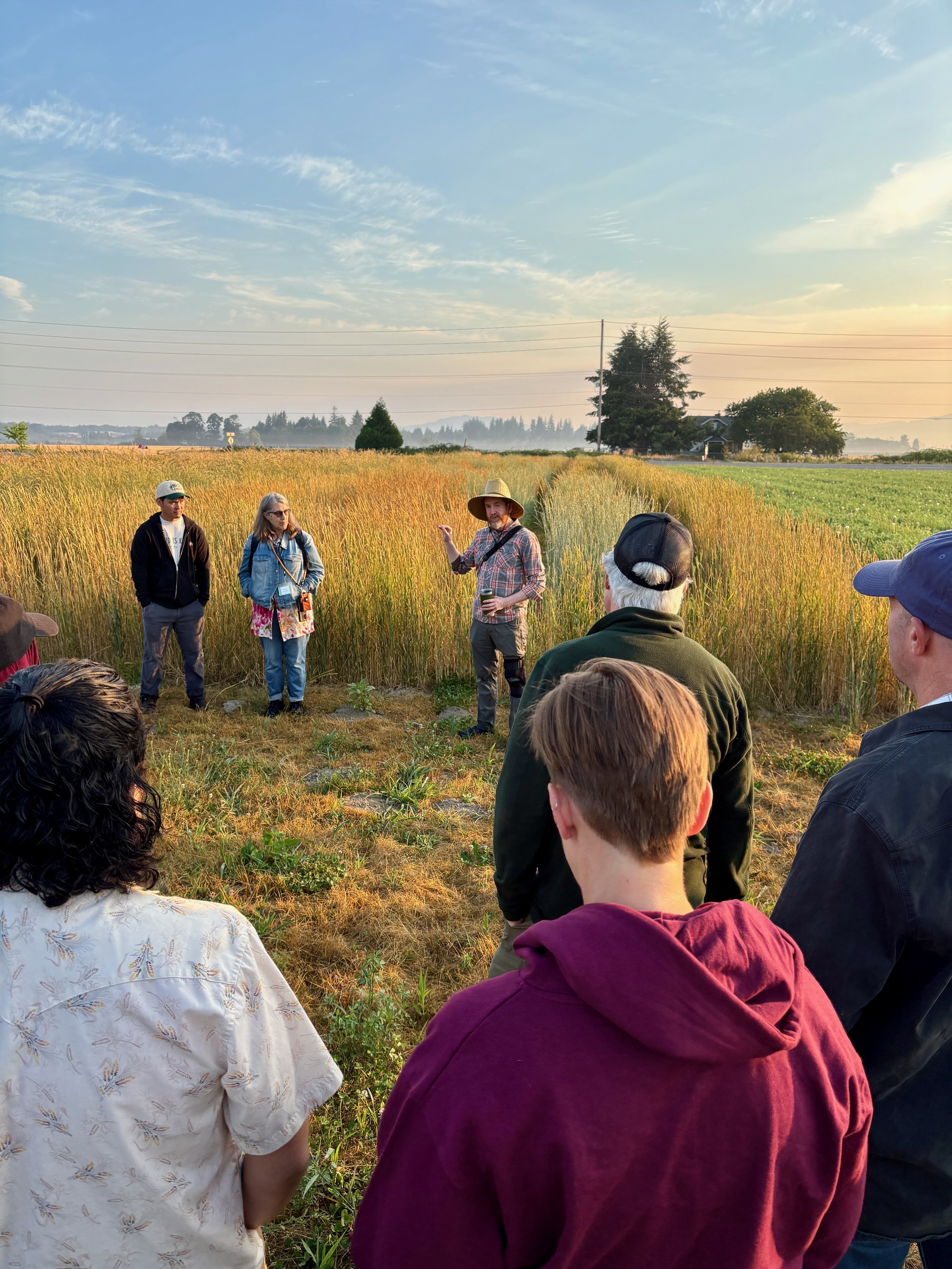 “Wheat Amidst the Tulips” — Richard’s Reflections on the 2026 WSU Breadlab Grain Gathering