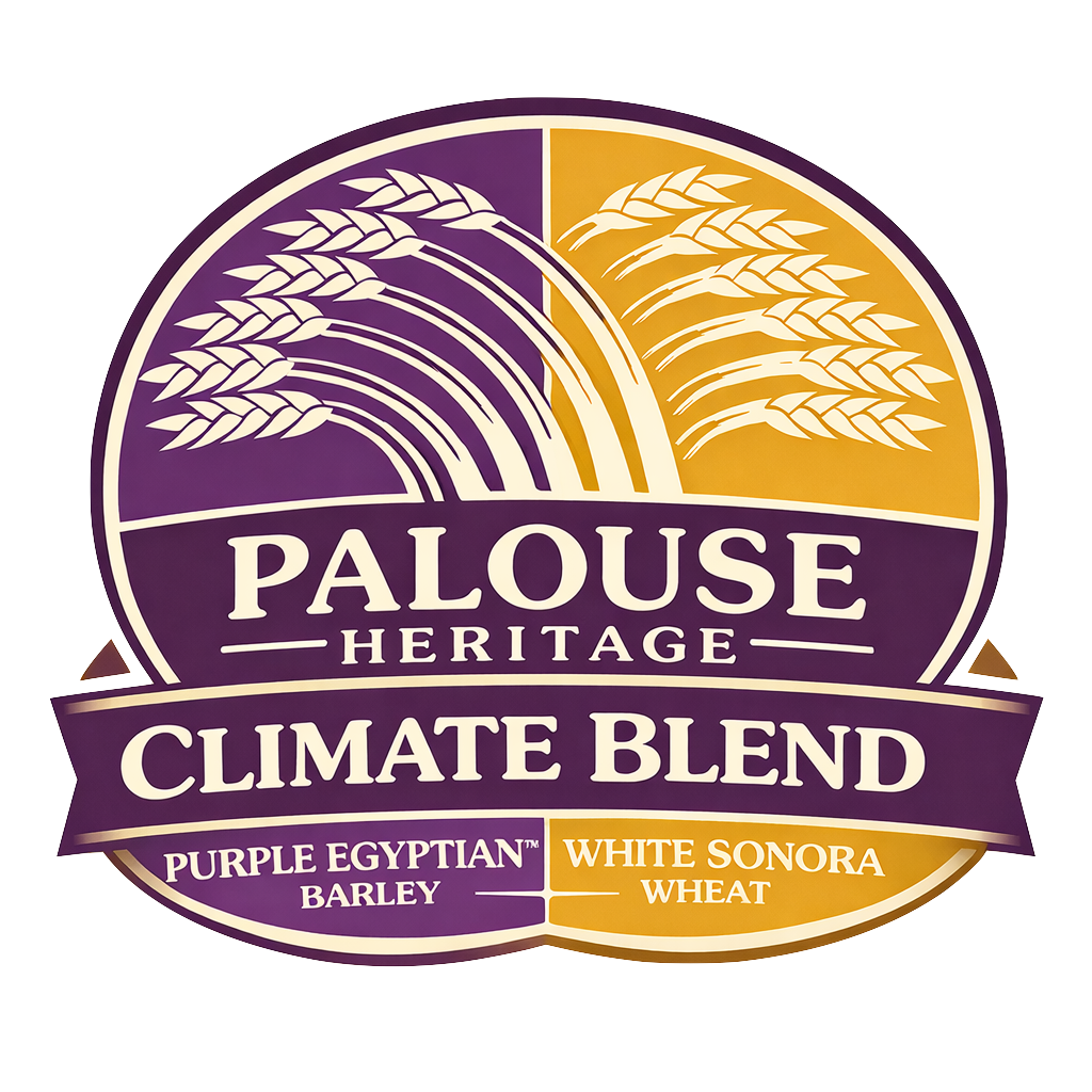 Purple Egyptian™ Barley + White Sonora Wheat "Climate Blend" Berries