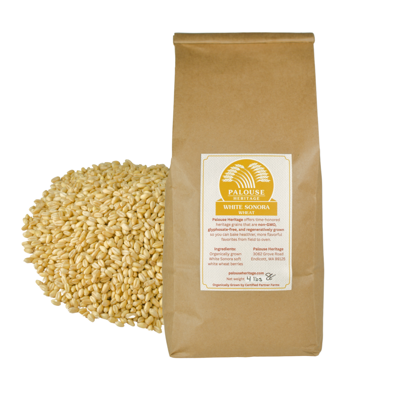 White-Sonora-4lbs-Grain.png