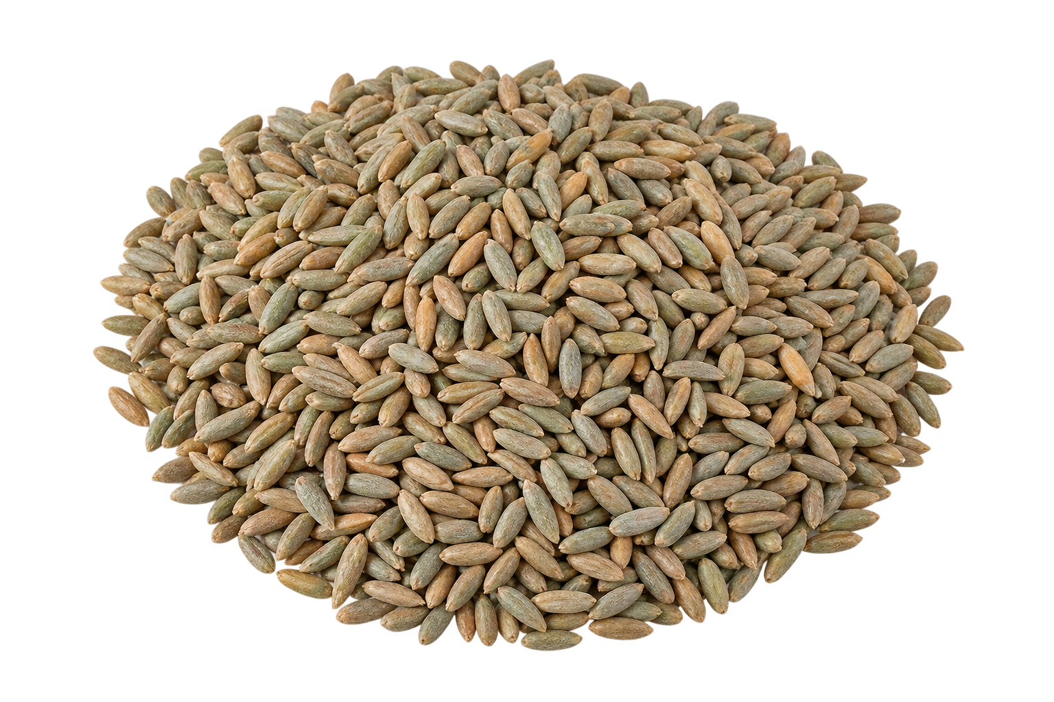 Rye.png