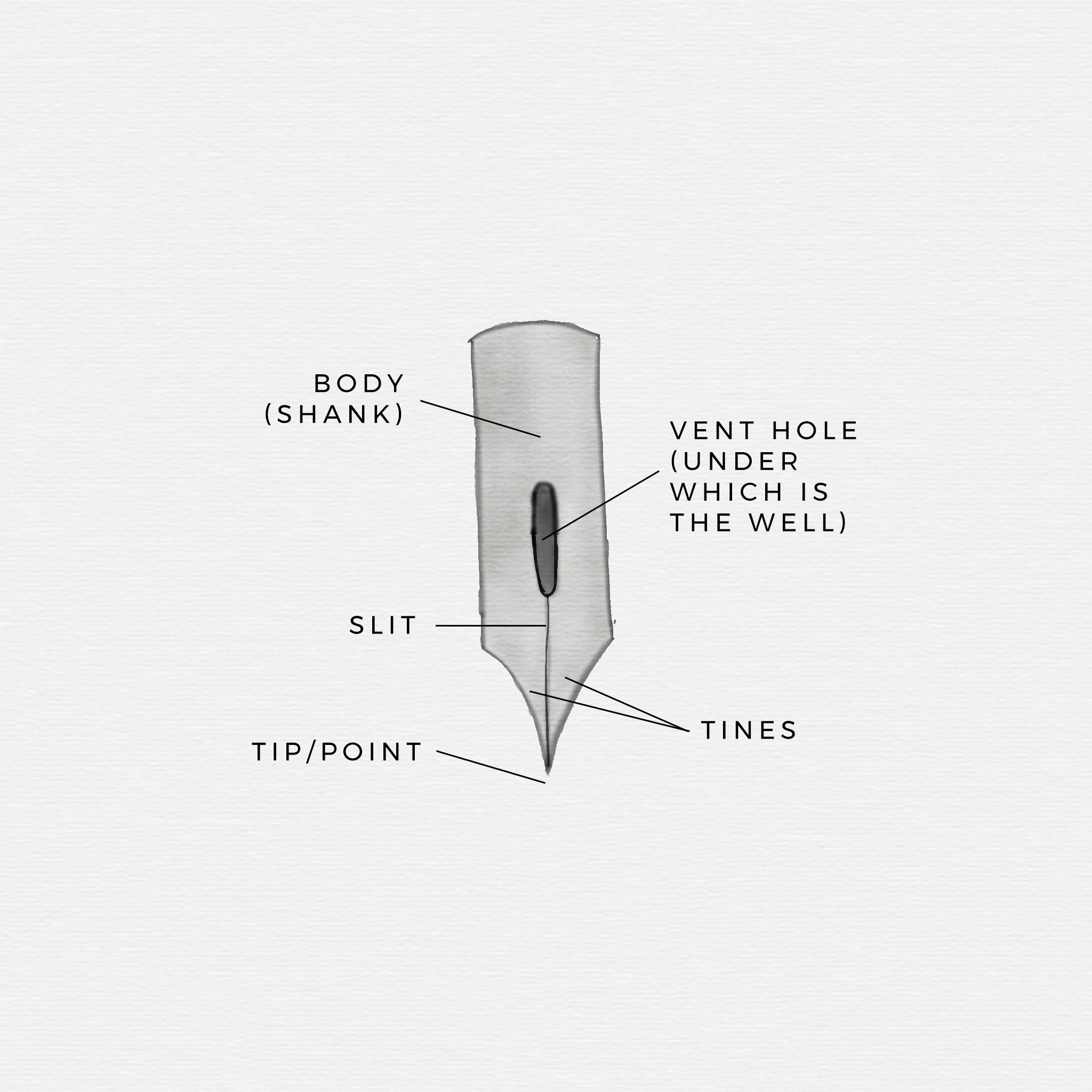 nib-diagram.jpg