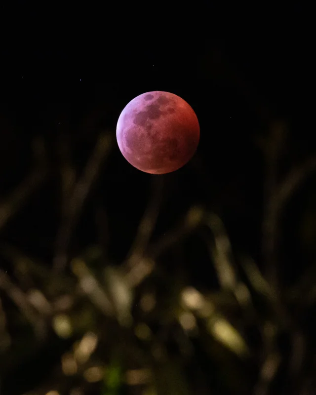 Shot with Canon 6d and Canon 400 mm f/5.6 1 second exposure, f/13 ISO 5000