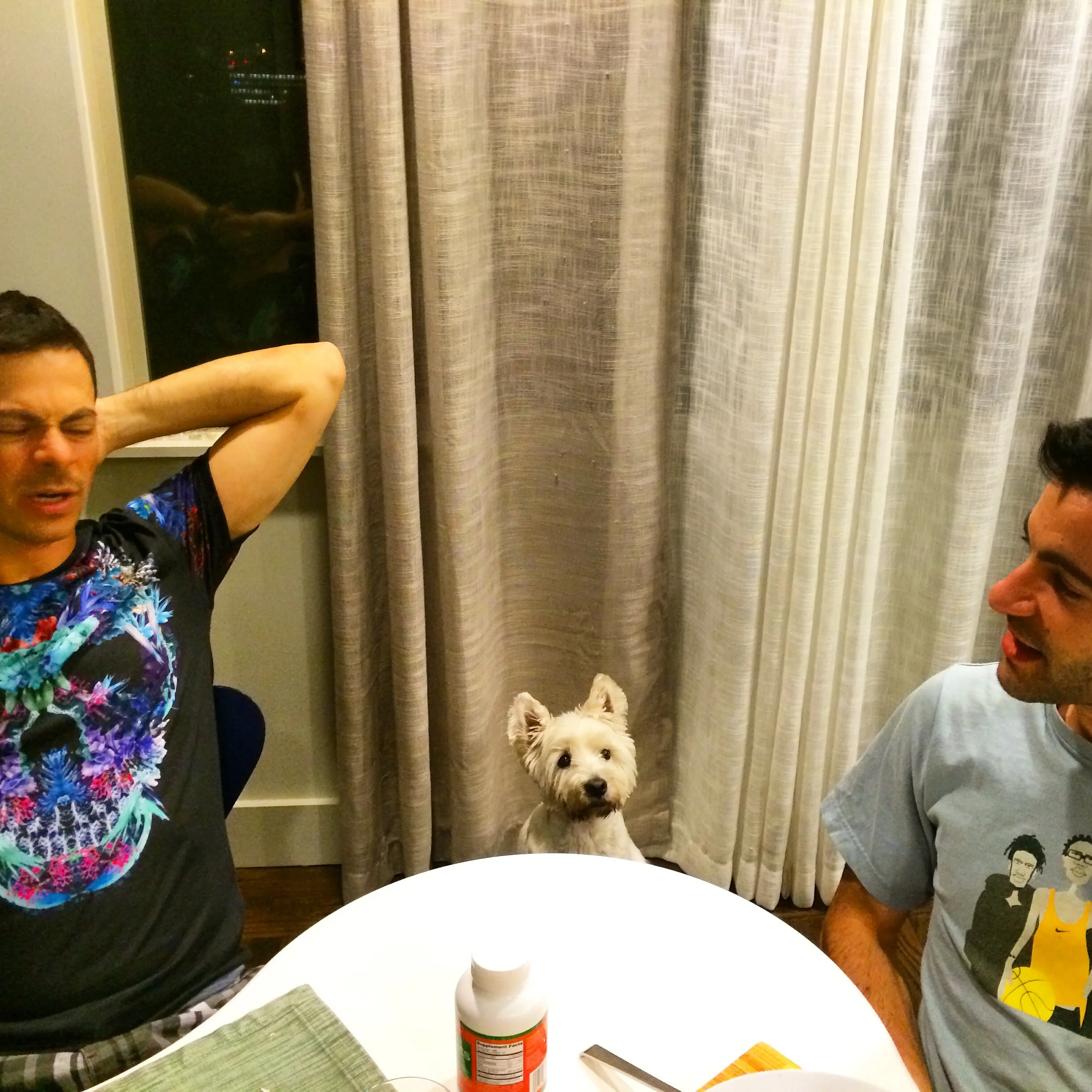 Just a normal evening with an eavesdropper at the dinner table.