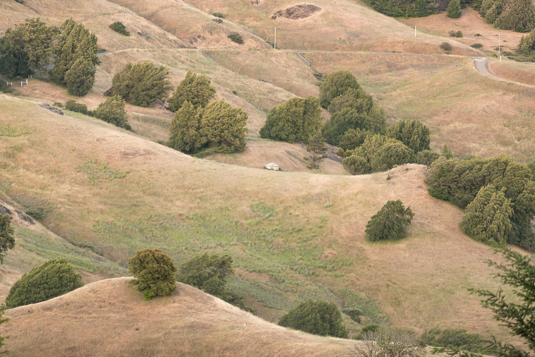 Toscana Americana