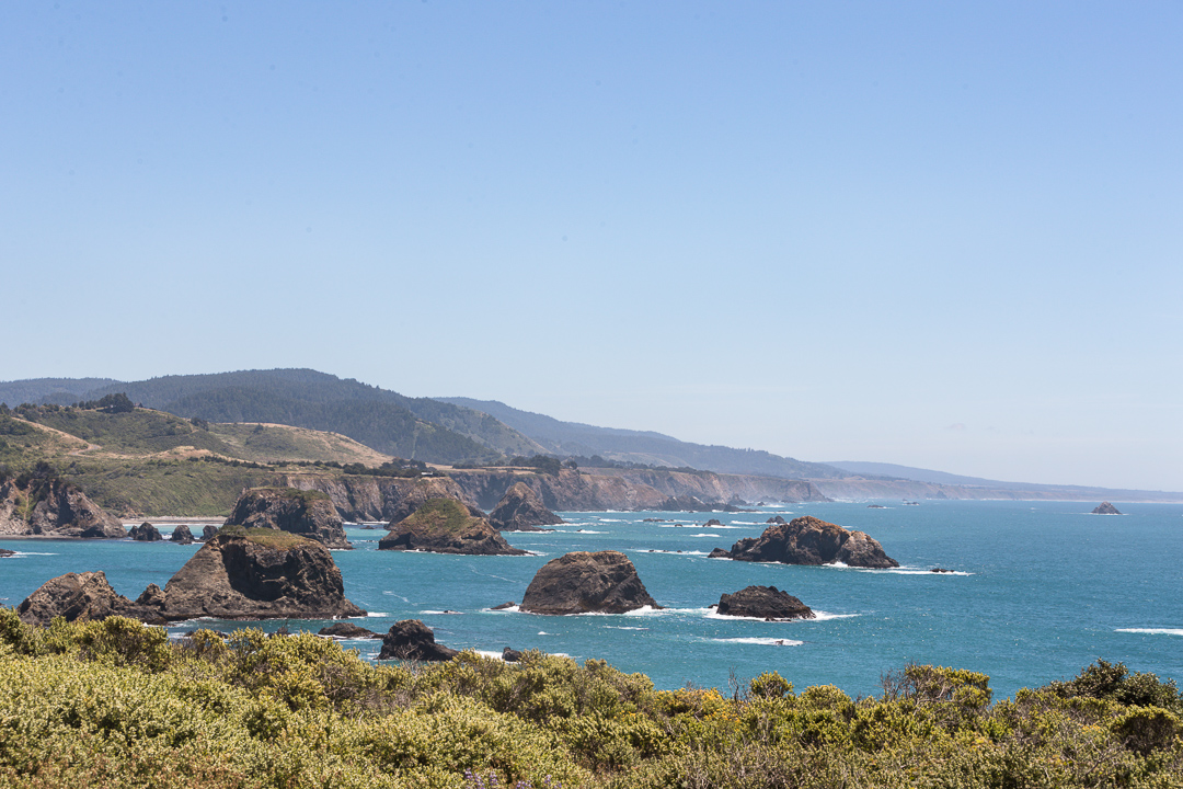 Gorgeous NorCal Coast