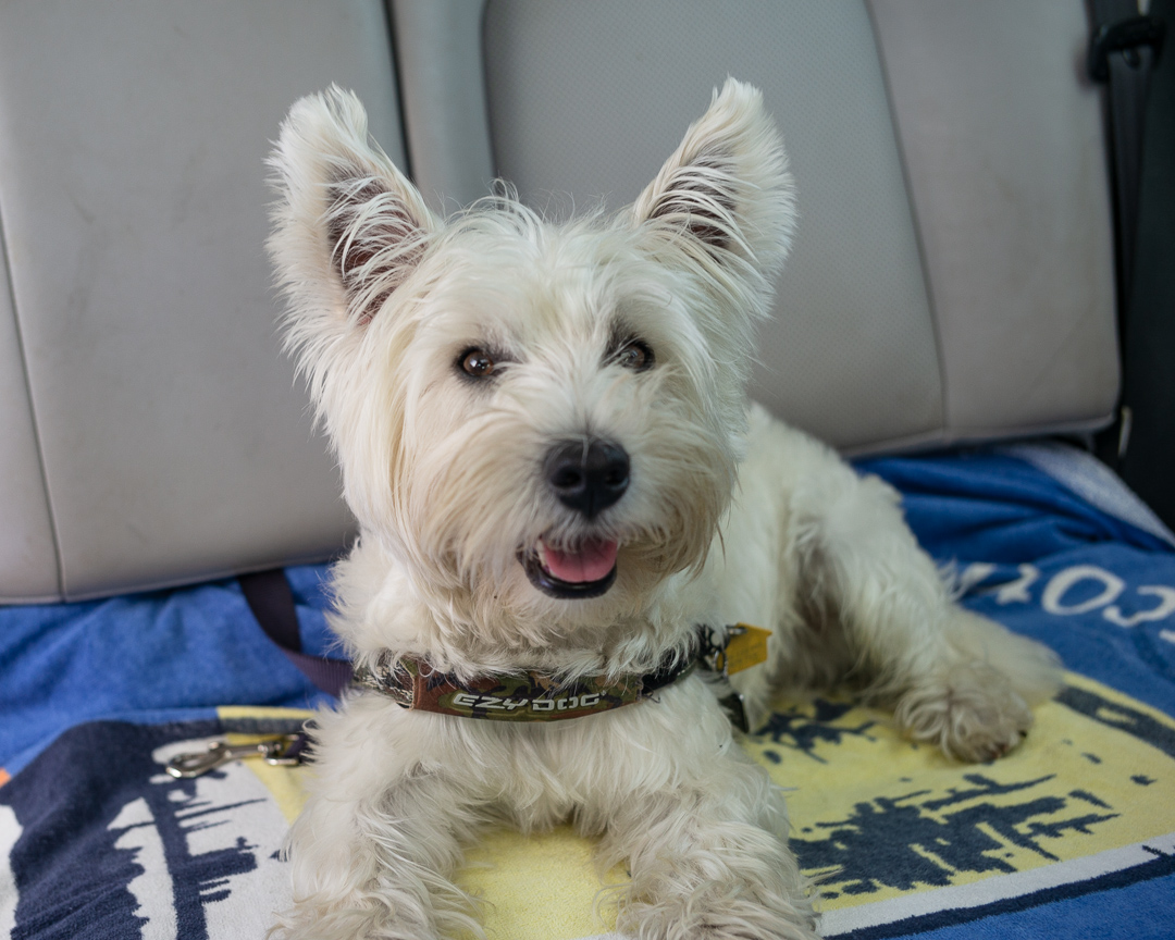 ready for the adventure