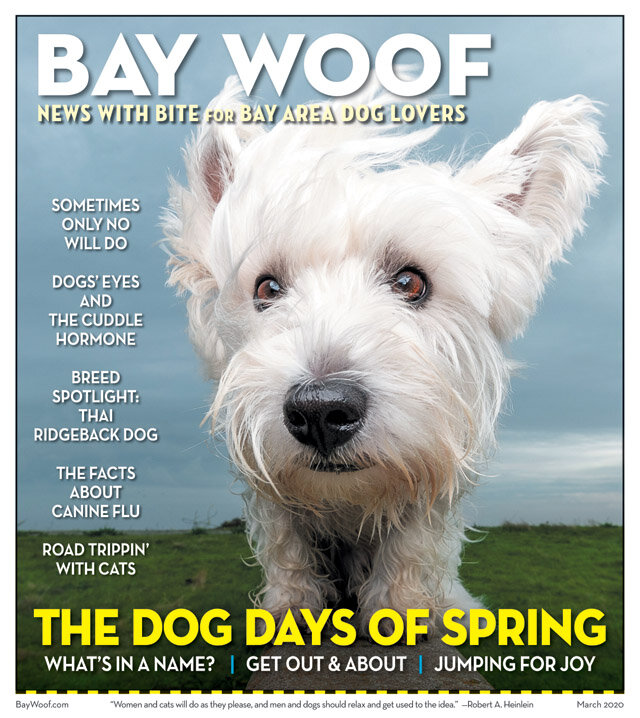 BayWoof202003.jpg