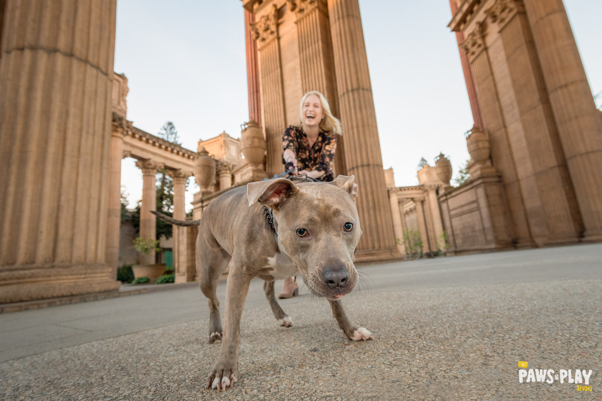 San-Francisco-Dog-Photographer.jpg