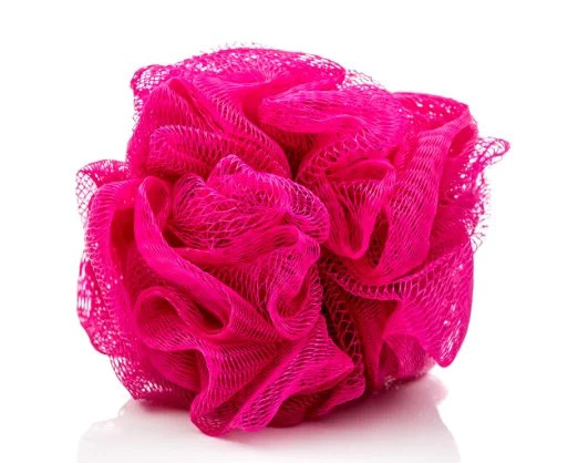 loofa4.jpg