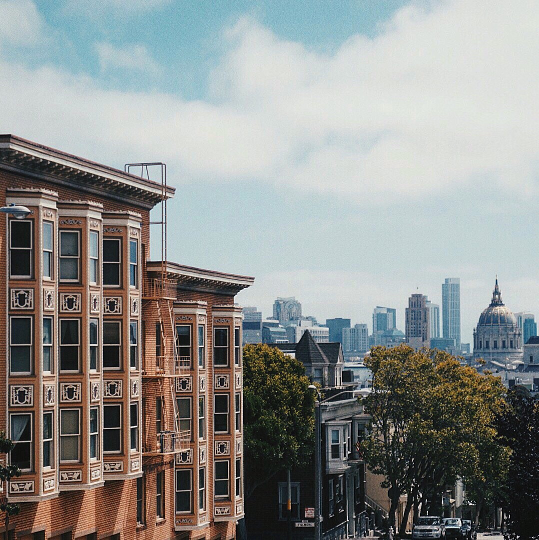 Took this shot by Alamo Square. I think SF's City Hall is incredibly beautiful. 