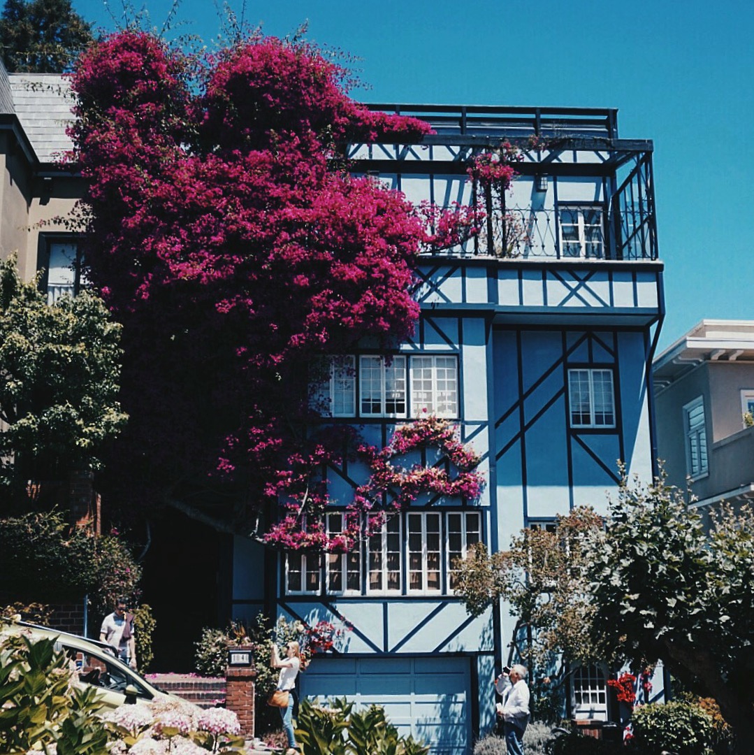 This house is EVERYTHING!