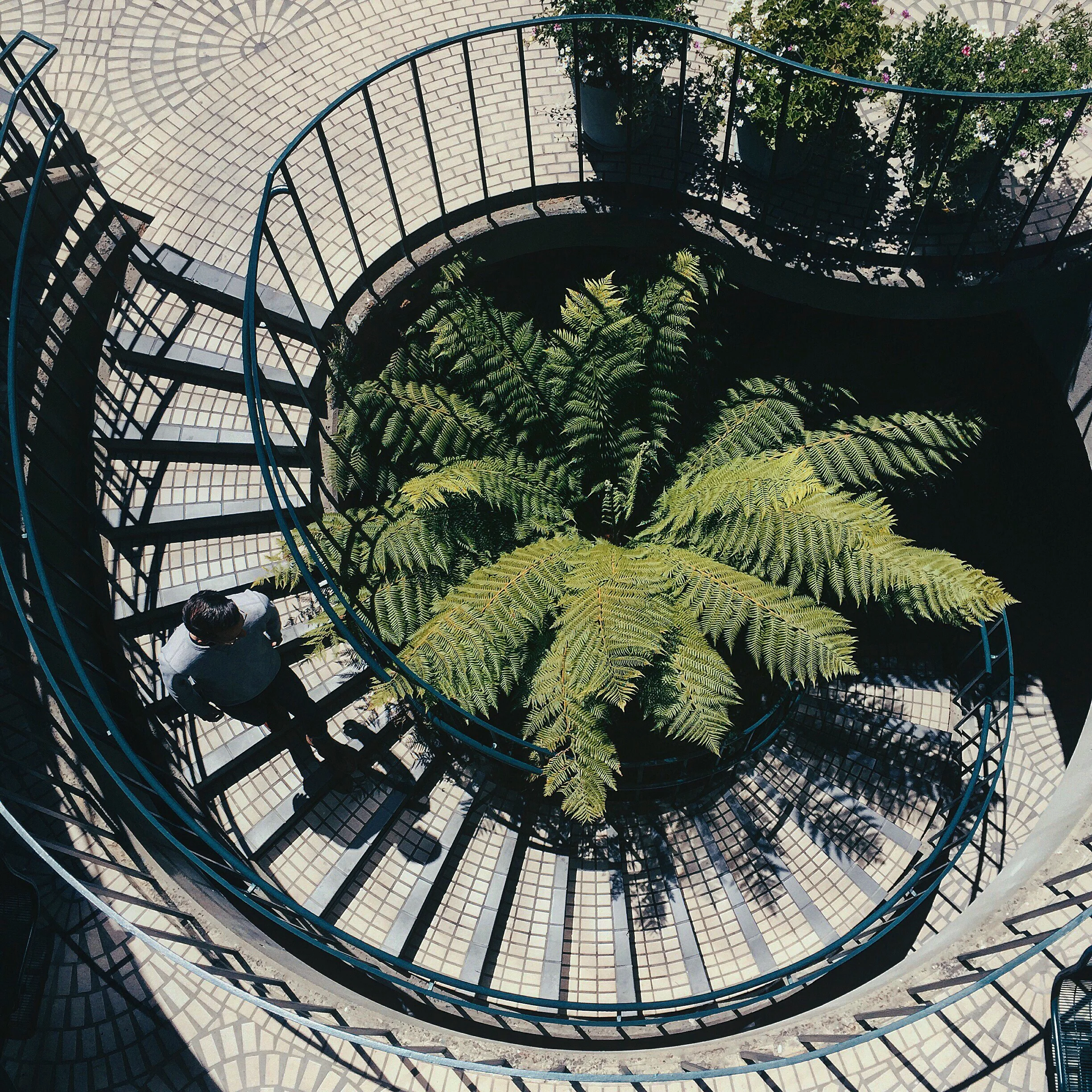 San Francisco Wanderings