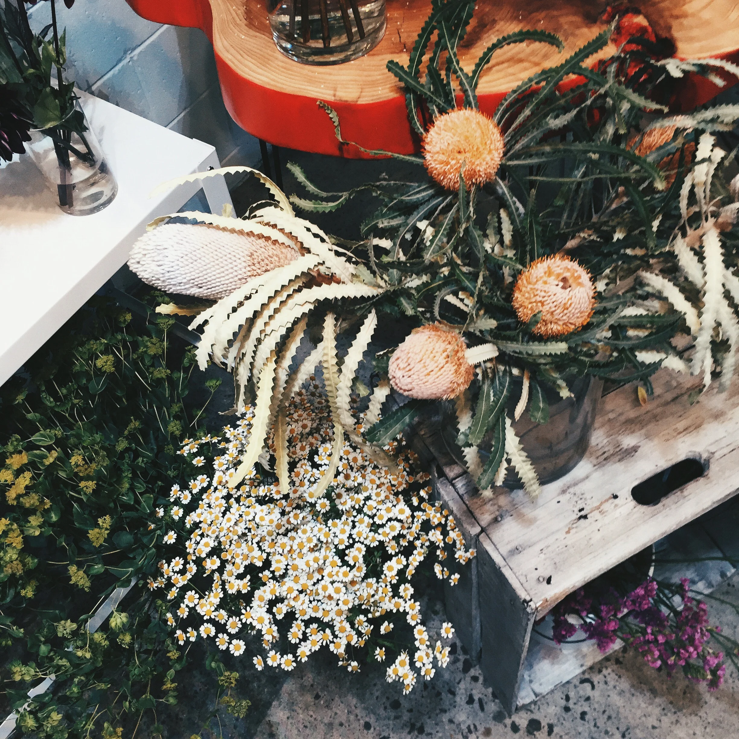 Some of the flowers for purchase, which I loved. 