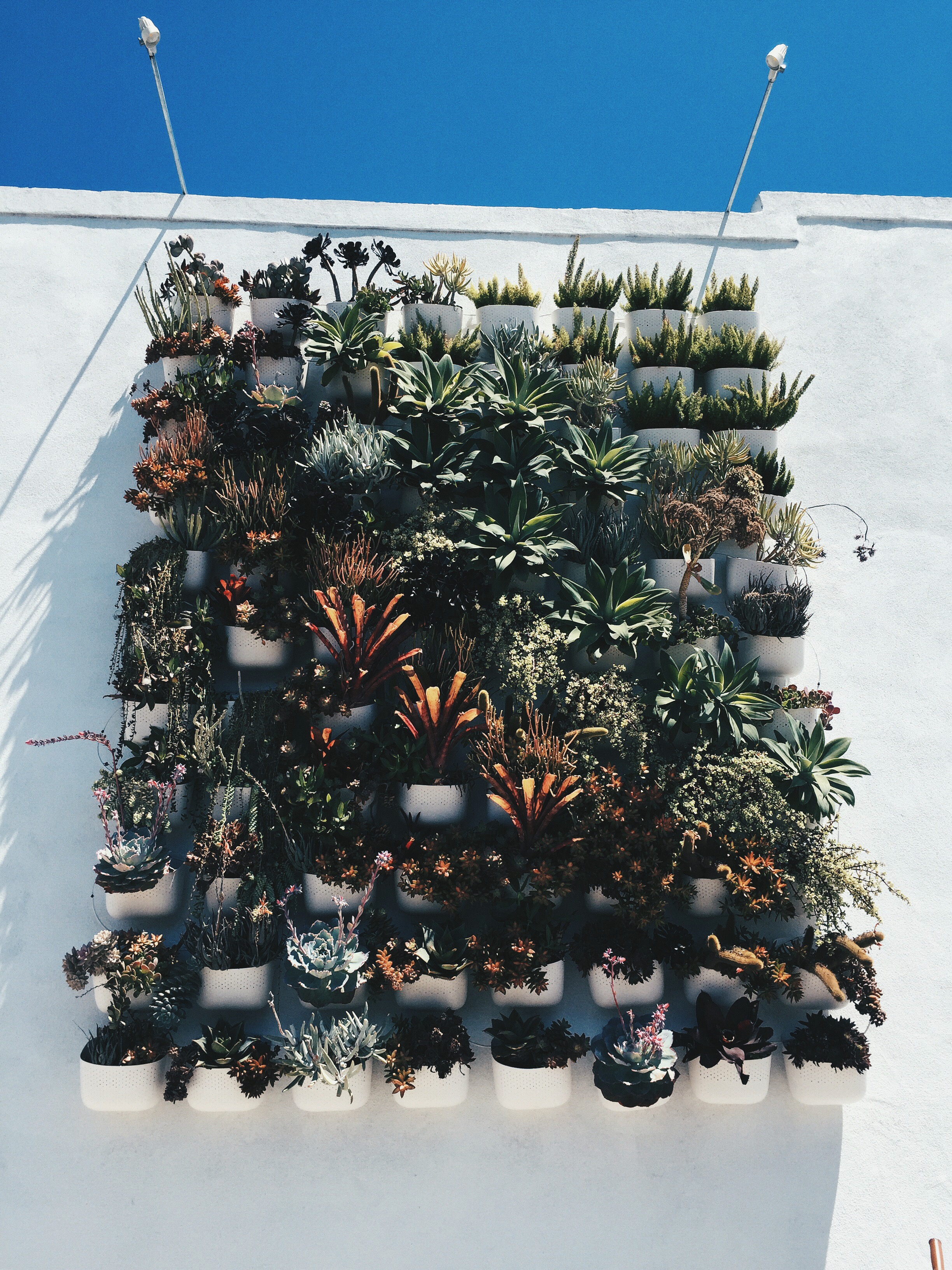 I also visited a little hipster store called Pigment. It is one of those cute shops that sells random things and adorable cards, and plants, and apartment accessories that you don't need but that you definitely now want. They had this incredible succulent wall outside. It was heaven. 