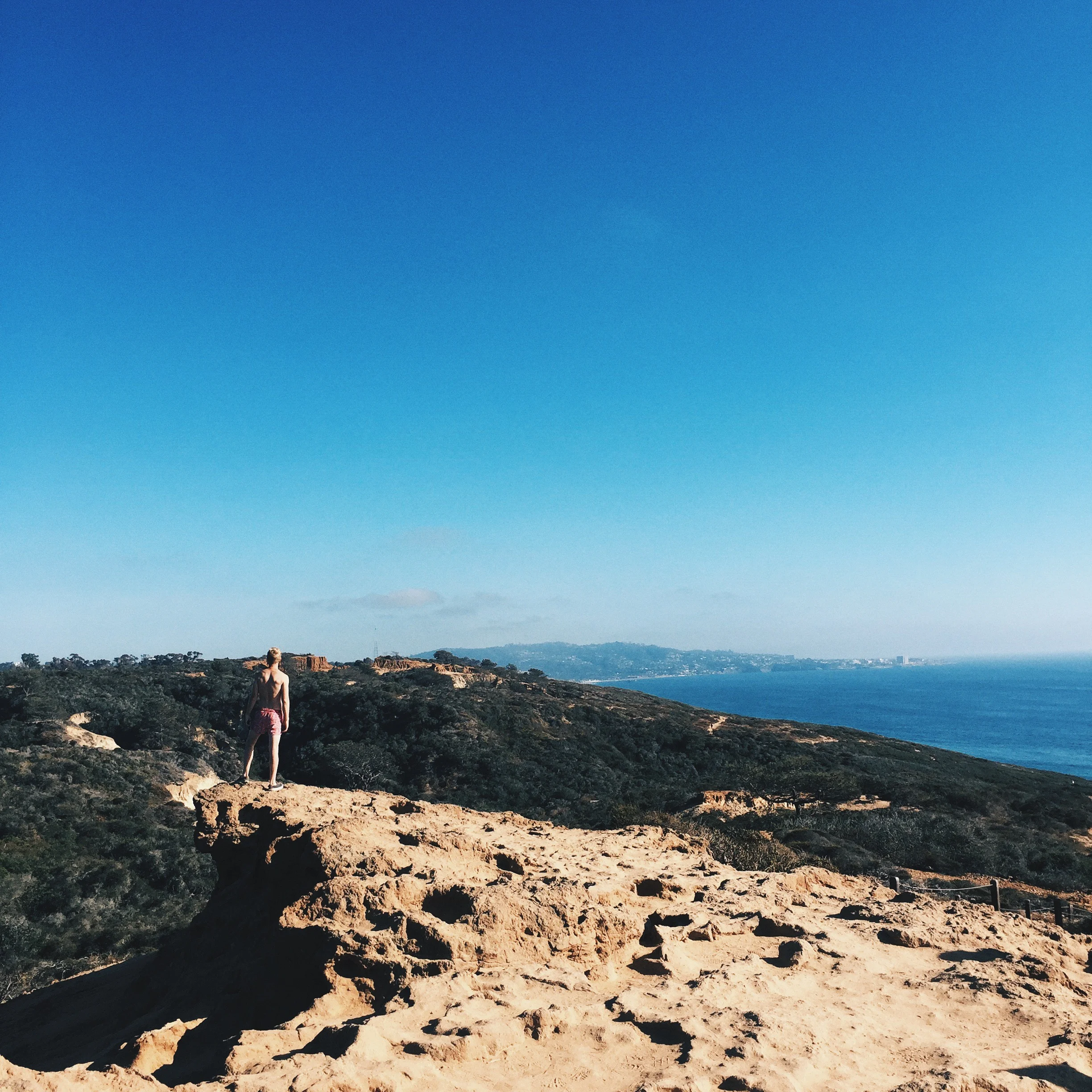 Then we went on the incredible Torrey Pines Trail hike. This trail has you weaving up and down cliffs, eventually leading you back down to the beach. It is now one of my all time favorite hikes.
