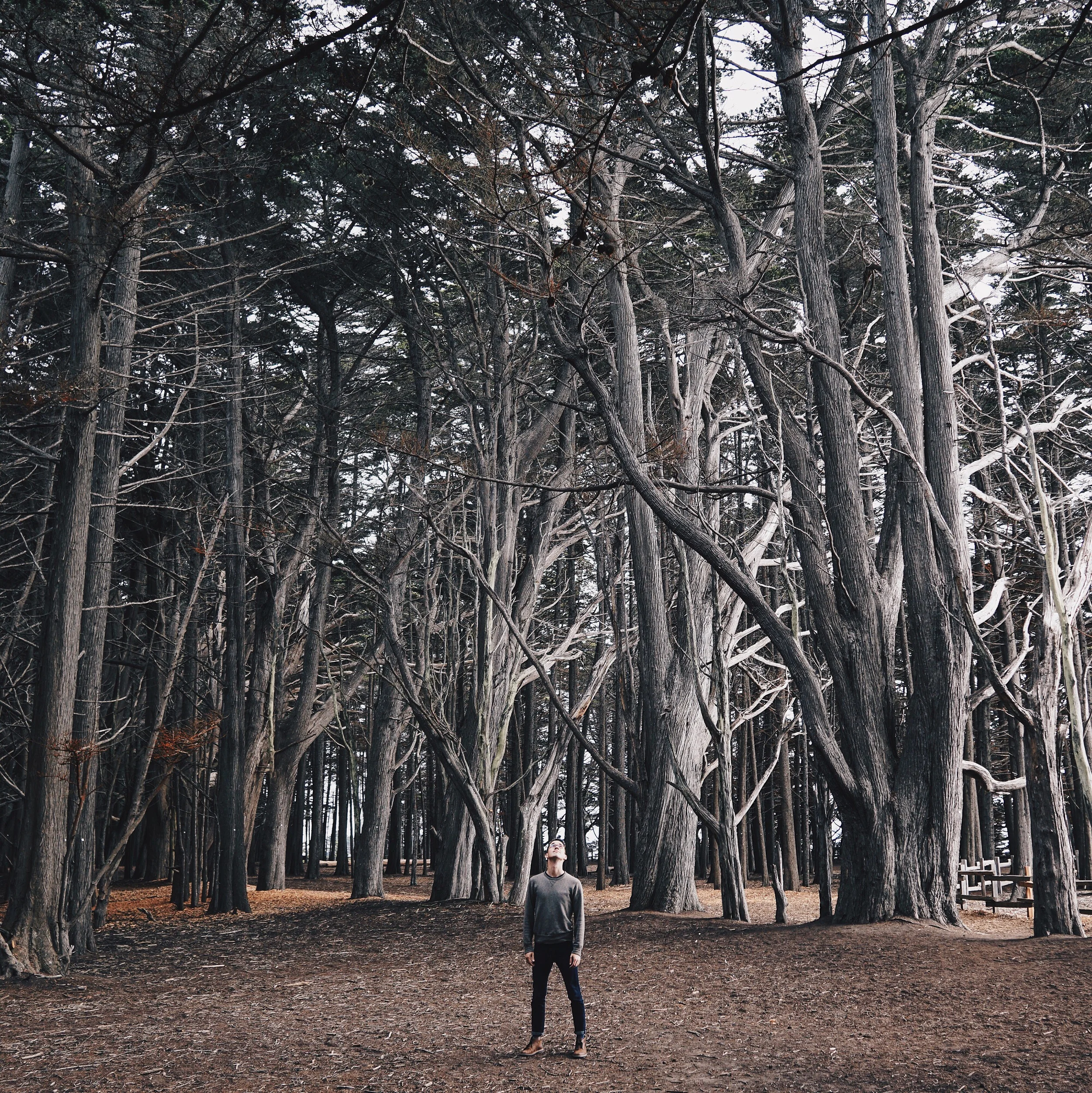 Adventures to Gray Whale Cove