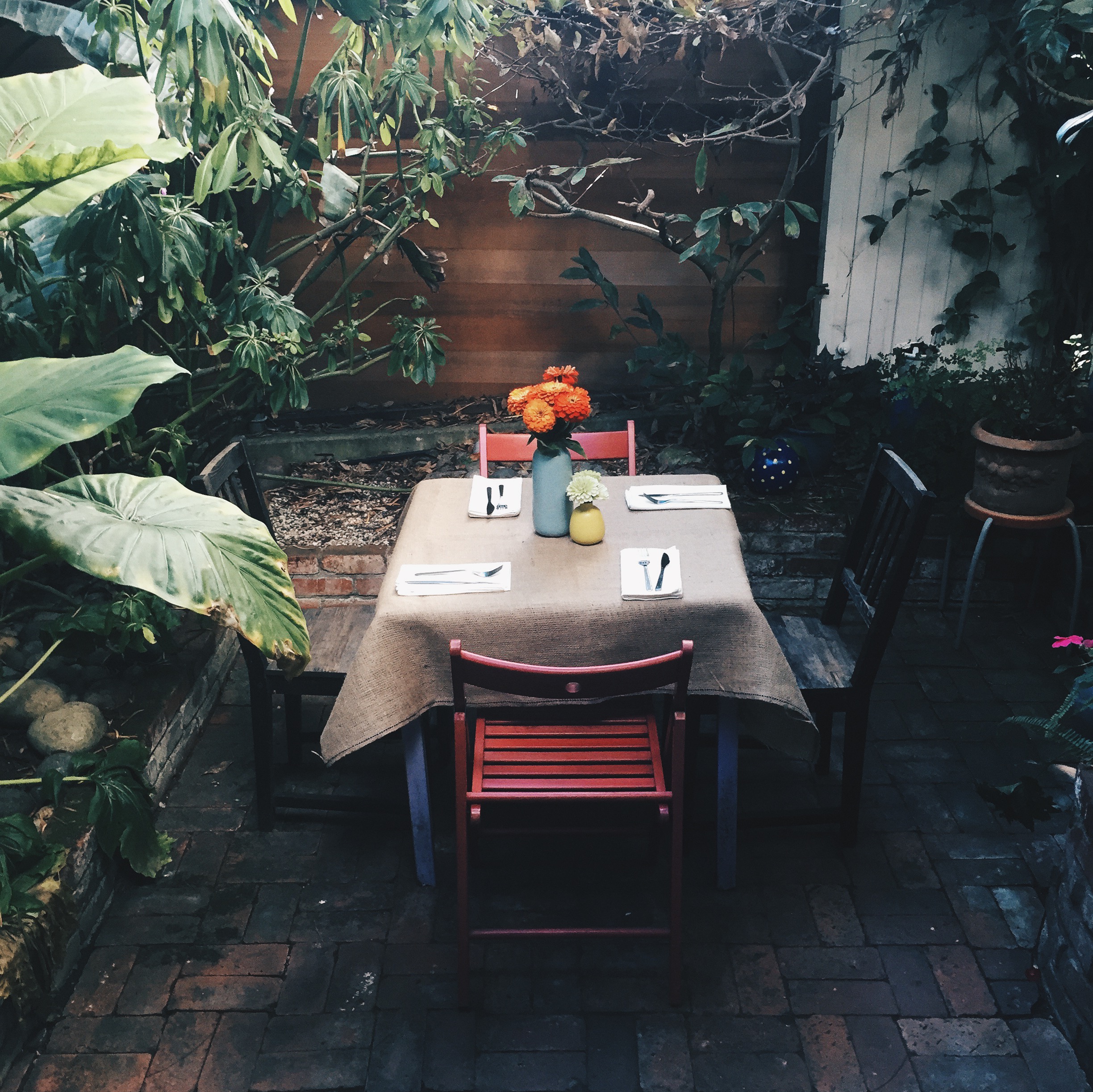 The last couple of weekends we have been hosting brunch with some family and friends. Today we made Waffles and had mimosas. It is the perfect outdoor space for hosting little gatherings. 