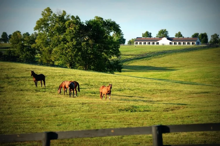 Gallery Bourbon and Barns