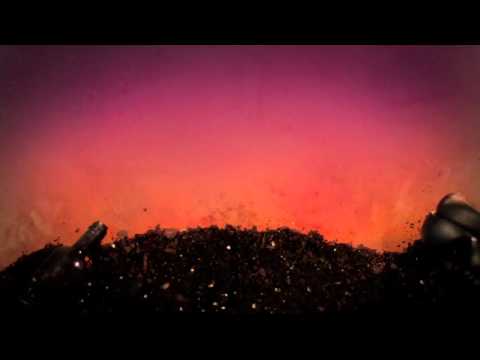 The Devil Tree- The Collective Project, Inc.