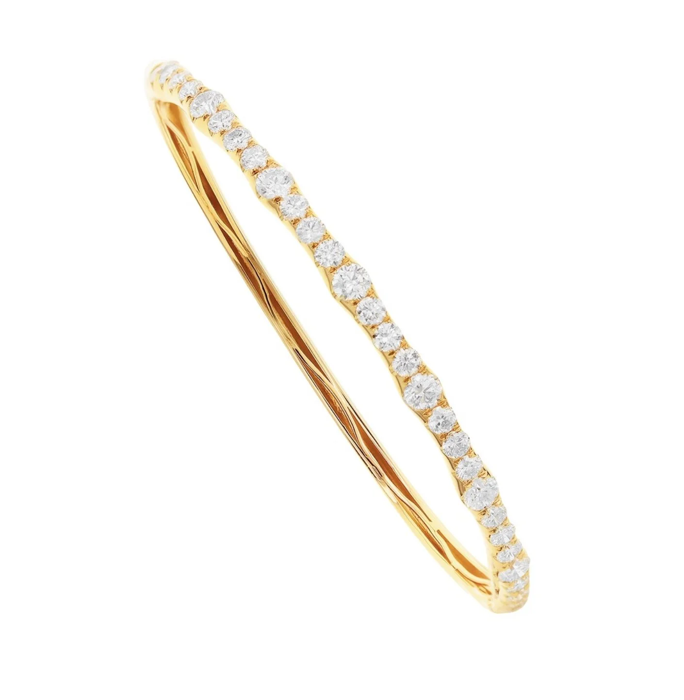 Image 1-23-25 at 2.20 PM.jpeg