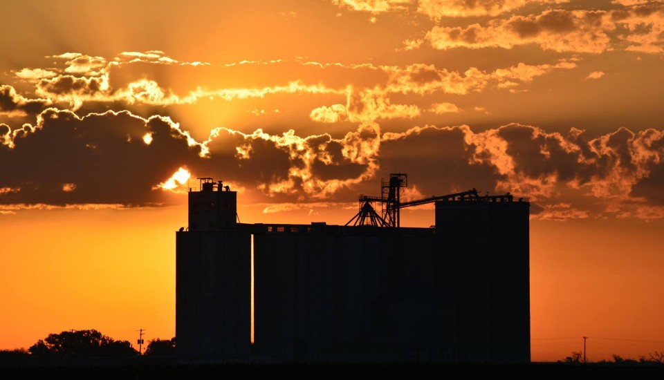 Sunrise at the Sanford Coop | Tricia Ryan