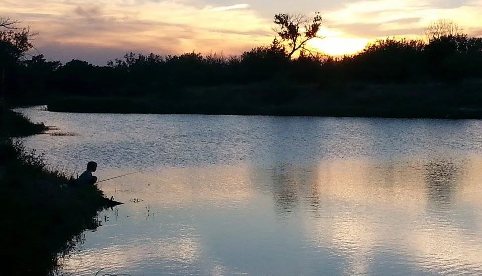 Fishing at the Sandpits | Ryan Webster
