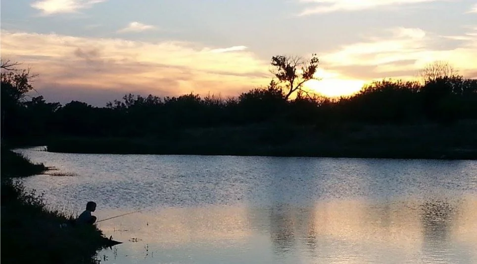 Fishing at the Sandpits | Ryan Webster