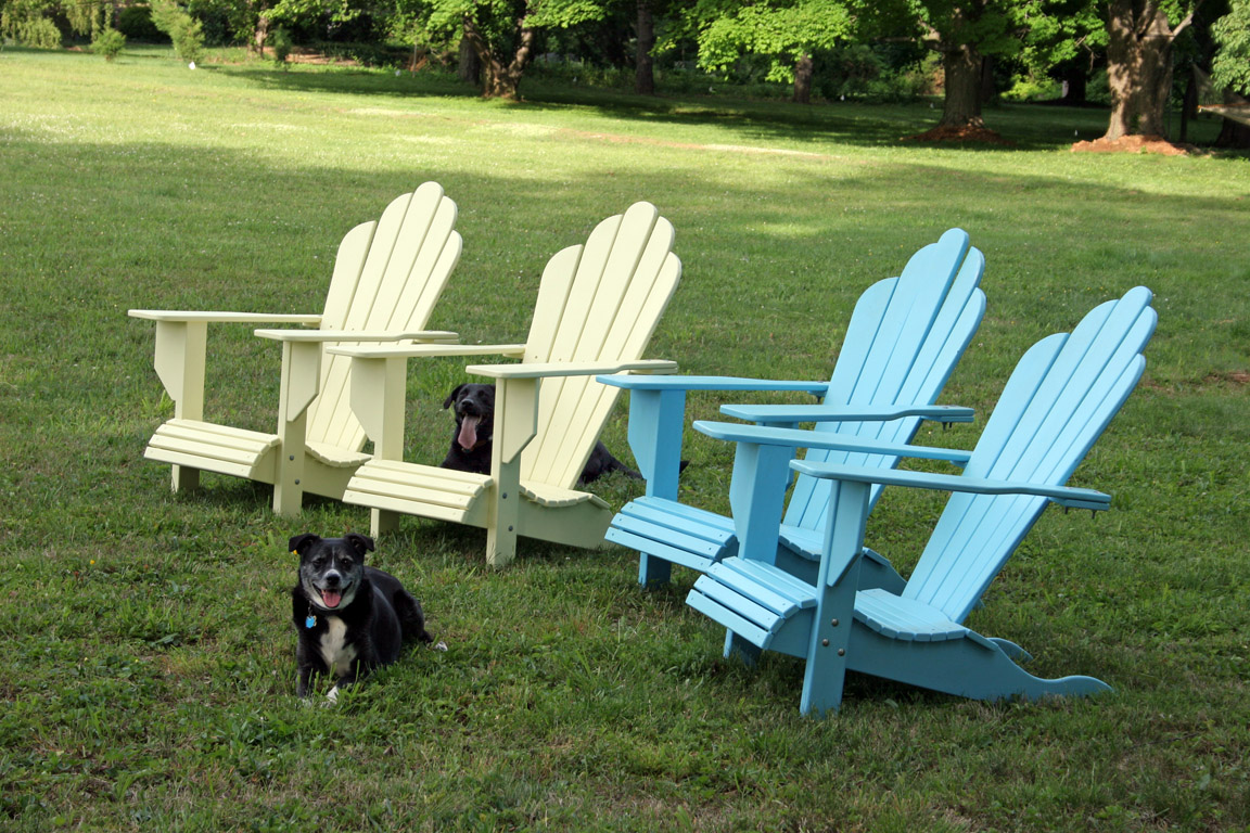  My dogs hanging around a set of adirondack chairs I made.&nbsp; 