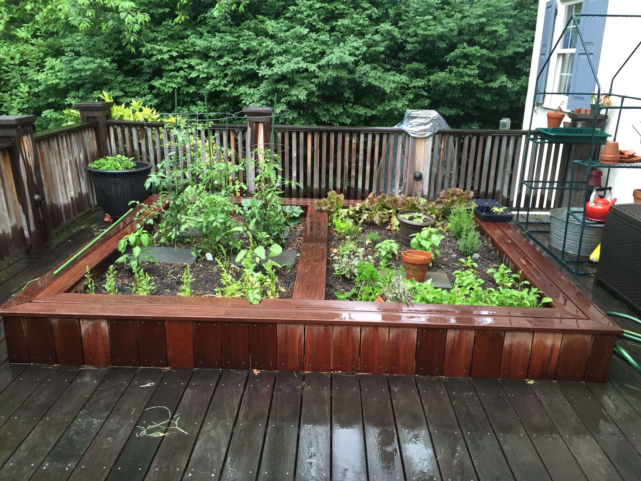  A few months later I was back on a rainy day and got this finished shot of the vegetable garden going strong. 