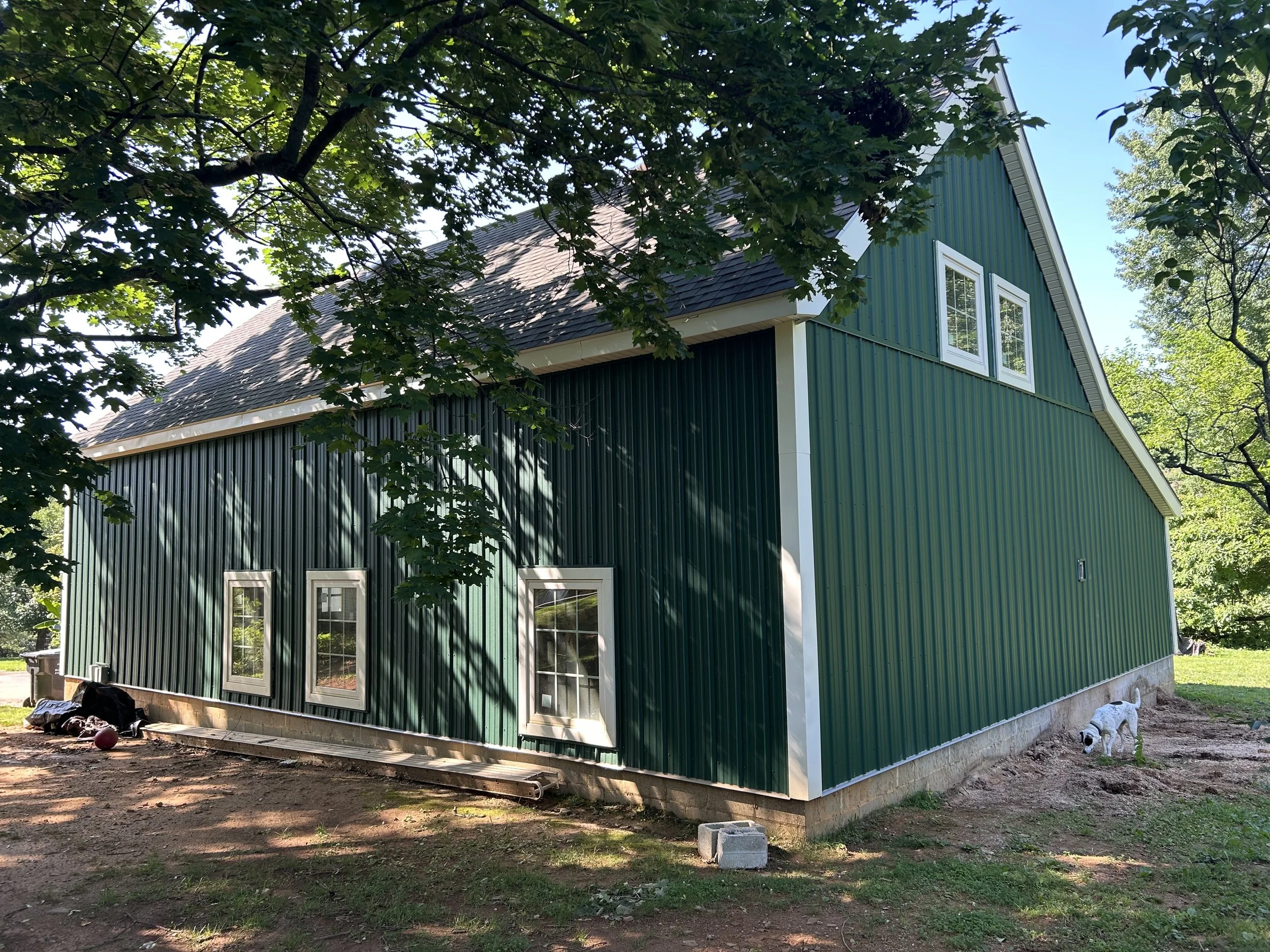  Completed siding on the side and back walls.  