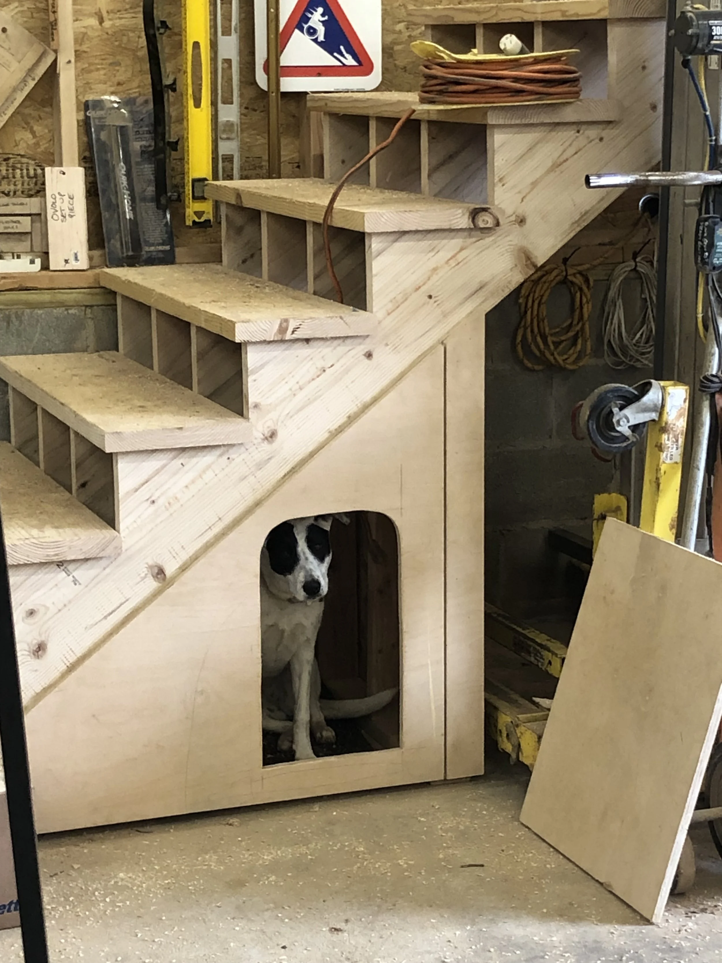  Sydney in her  dog house 