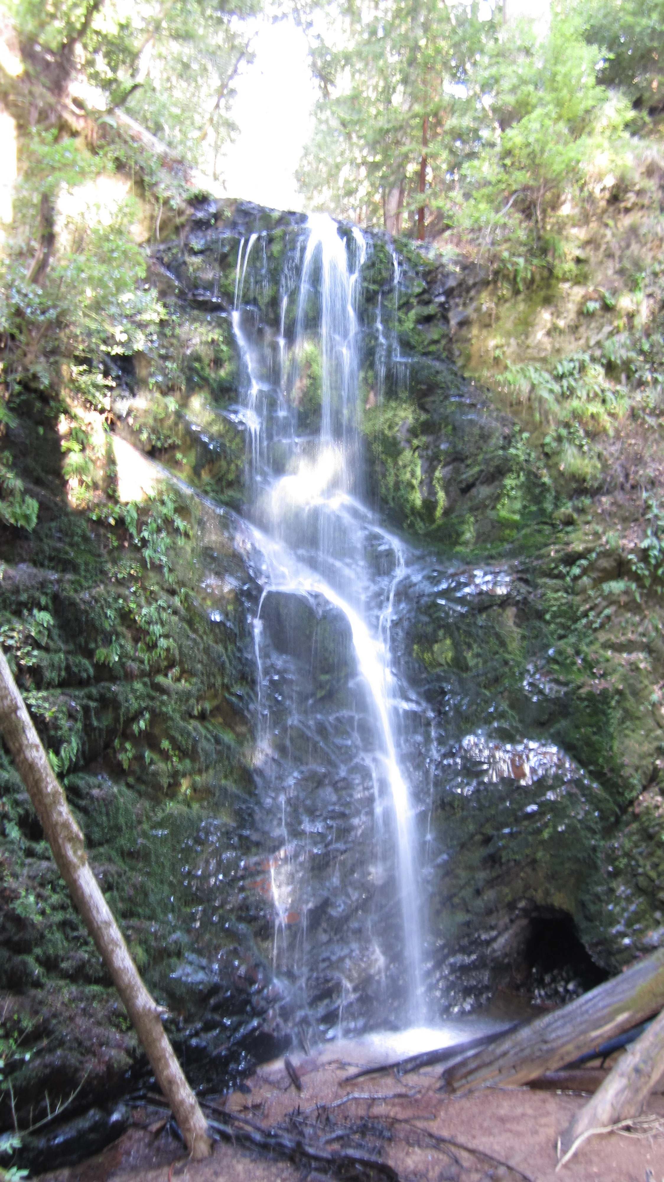 Davenport to Berry Creek Falls