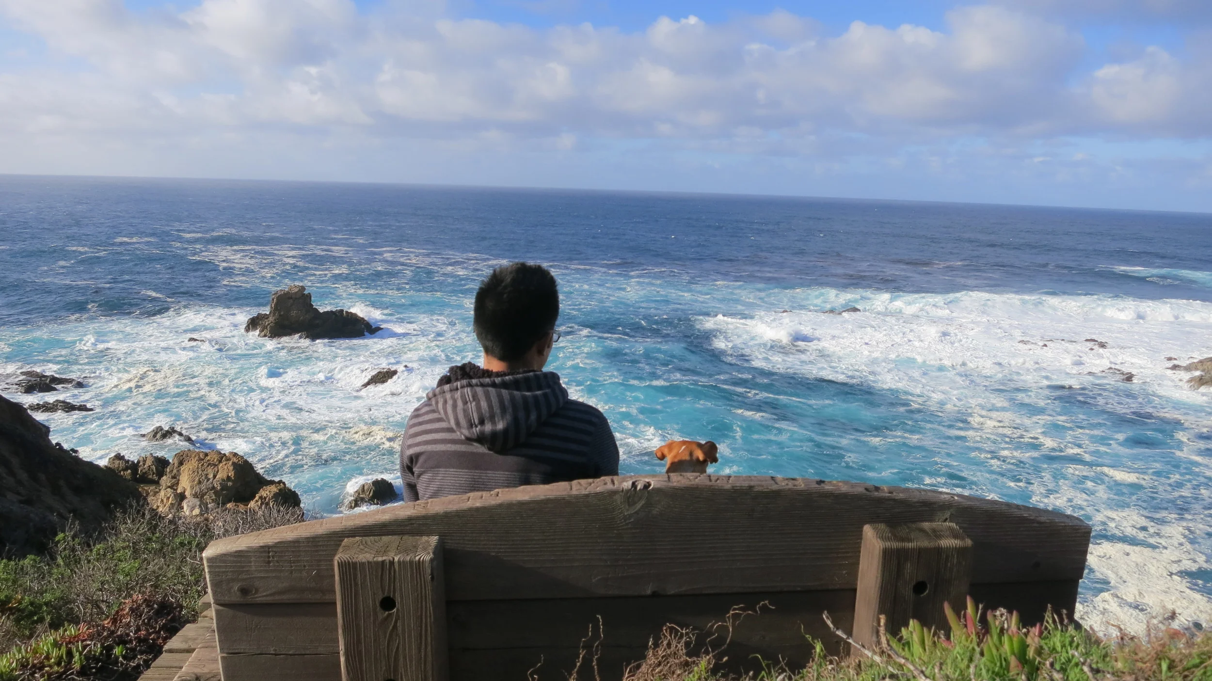 From the Bay to LA, on Highway 1