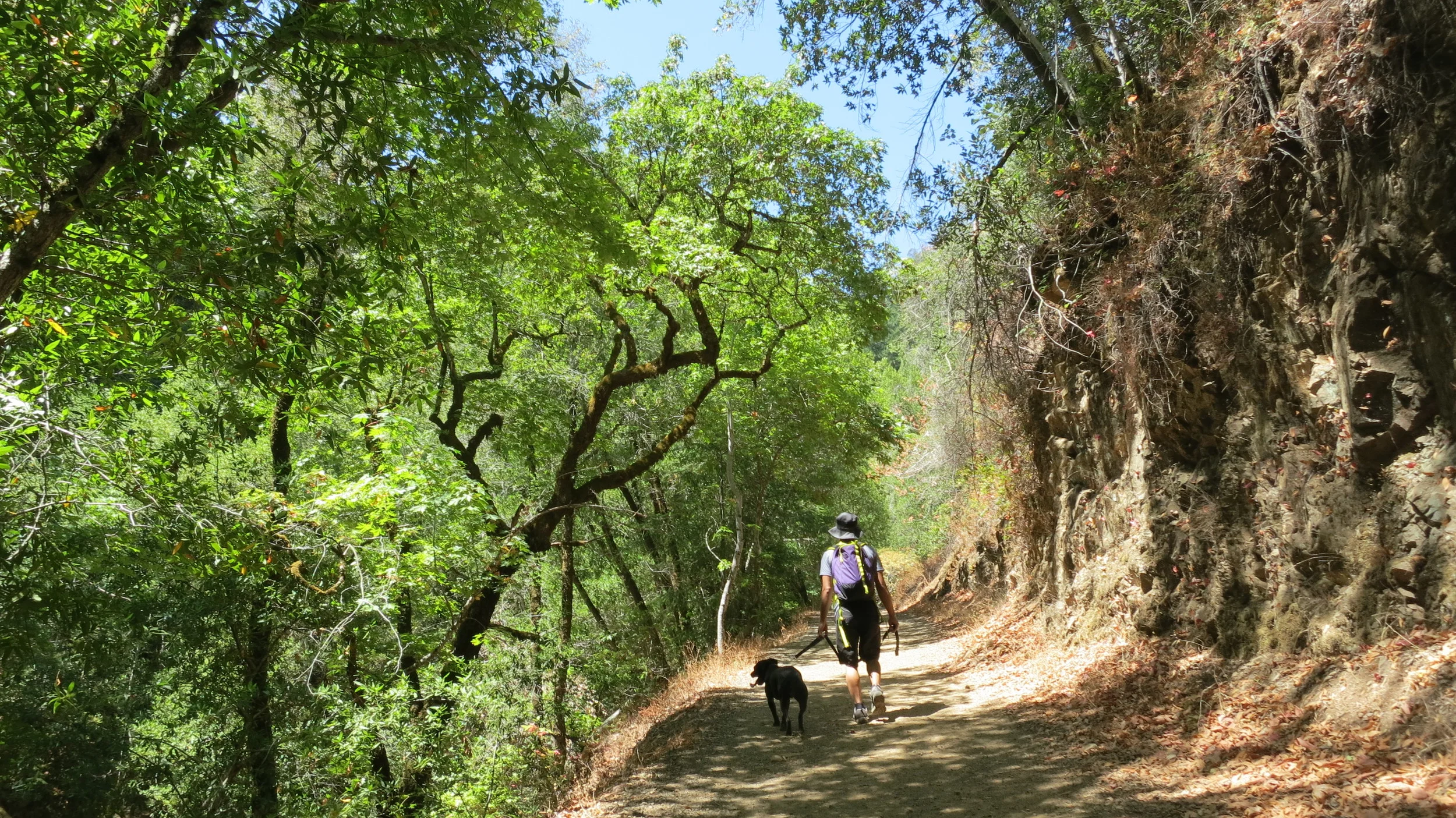 Uvas Canyon County Park