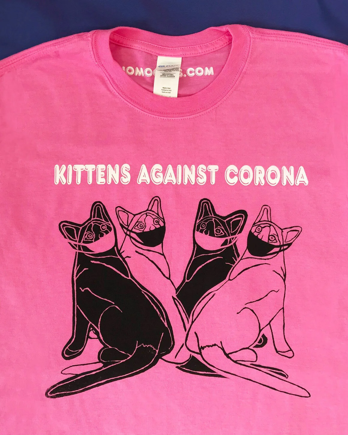 shirts for kittens