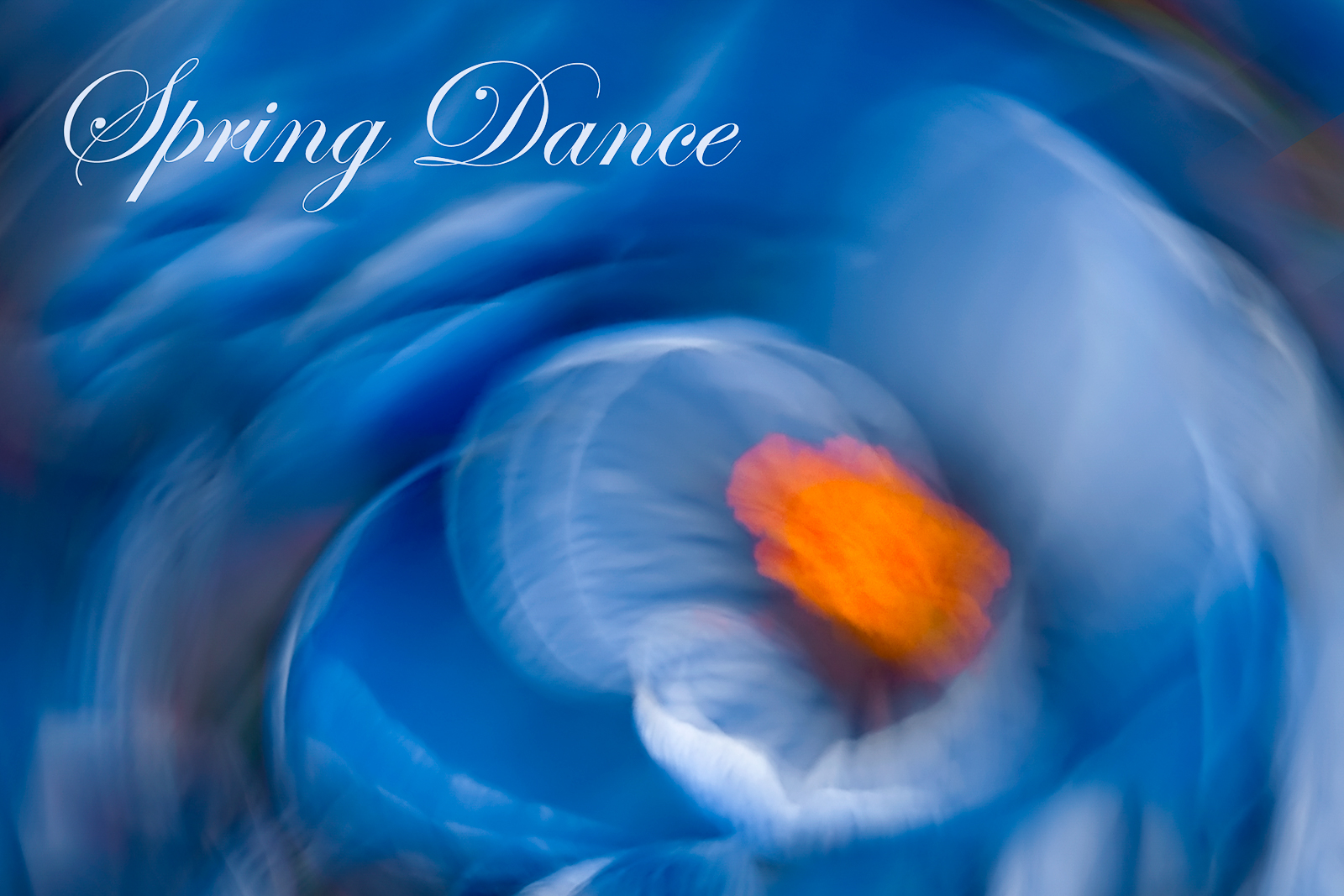 * Spring Dance *