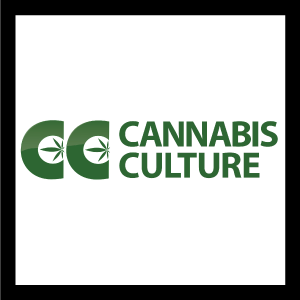 andrew-ward-Cannabis-Culture.png