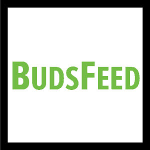 andrew-ward-BudsFeed.png