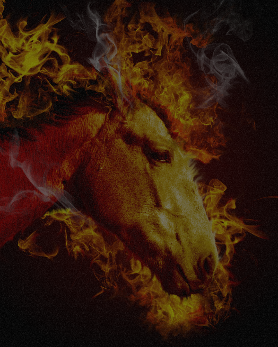 Lunar New Year, Fire Energy, and Fertility: What I’m Seeing in Clinic Right Now 