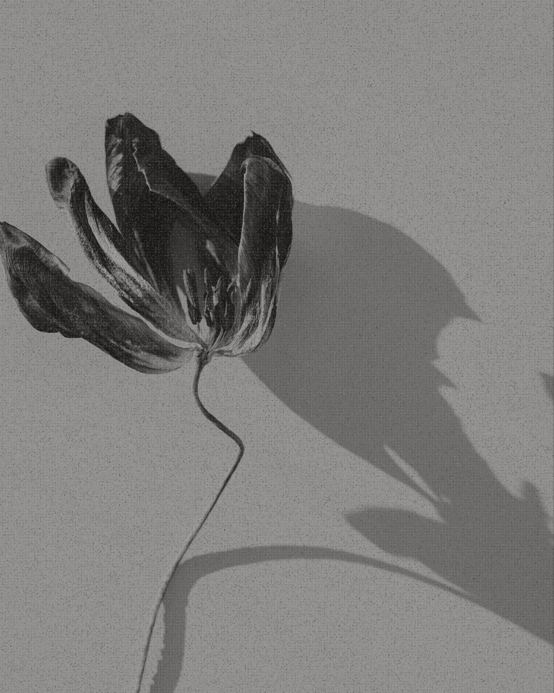 Foundation Over Frenzy: Why Doing More Is Not the Same as Doing It Right