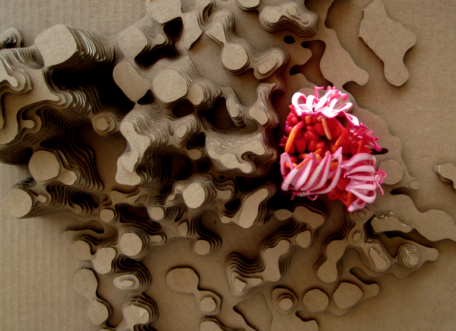 Screen Shot 2016-07-17 at 9.21.34 AM.png